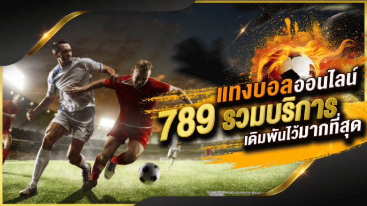 เว็บแทงบอล