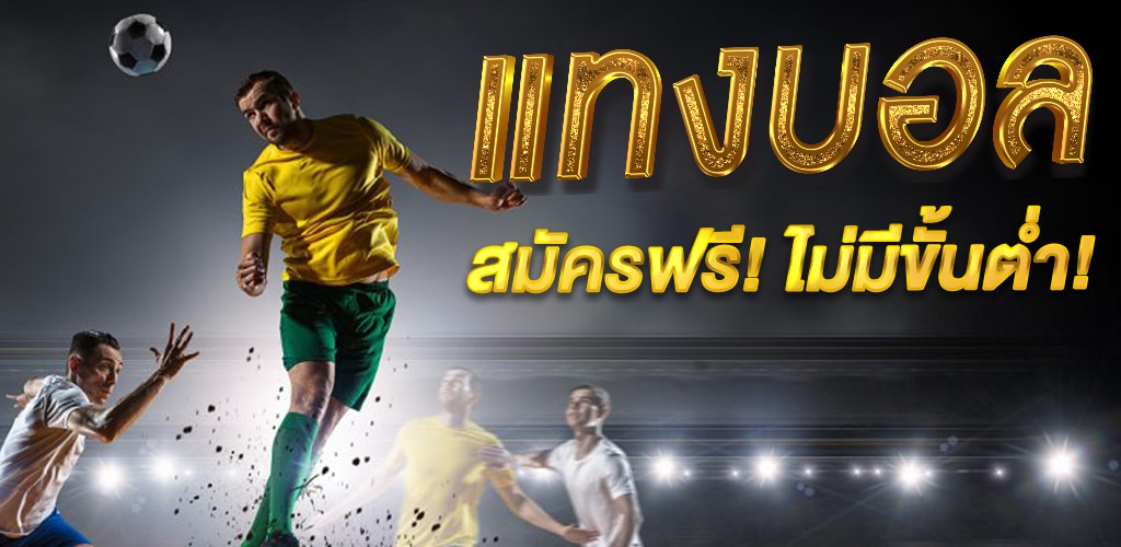 เว็บ แทงบอลน้ำดี